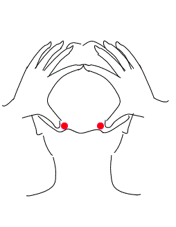本页图片/档案 - cm24_2