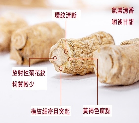 本页图片/档案 - cm44_1