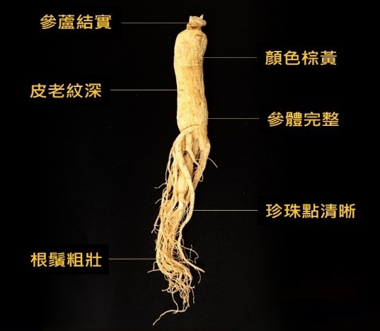 本页图片/档案 - cm44_2