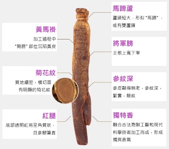 本页图片/档案 - cm44_3