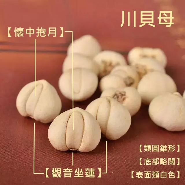 本页图片/档案 - cm55_1