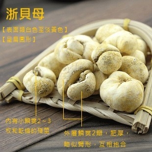 本页图片/档案 - cm55_3