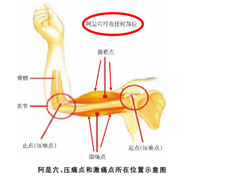 Hình ảnh/tệp trên trang này - cm66_1