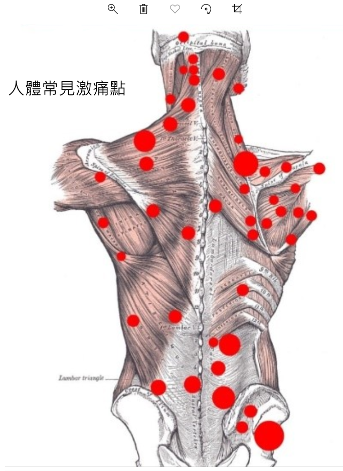本页图片/档案 - cm66_3